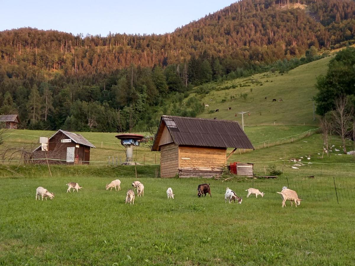 Apartments Tubej Bohinj Dış mekan fotoğraf